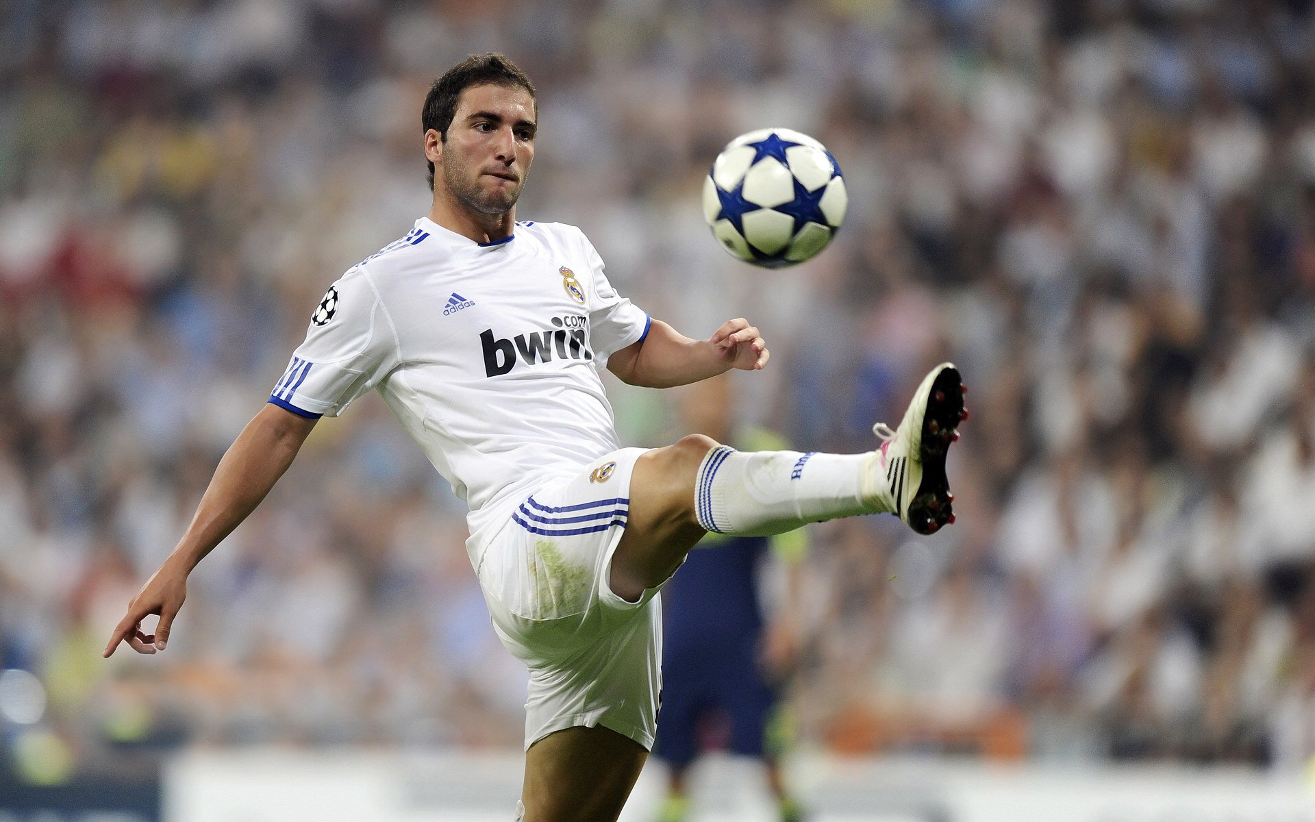 九游9游-勇士队追逐联盟纪录，皇冠梦在望，勇士队总冠军视频